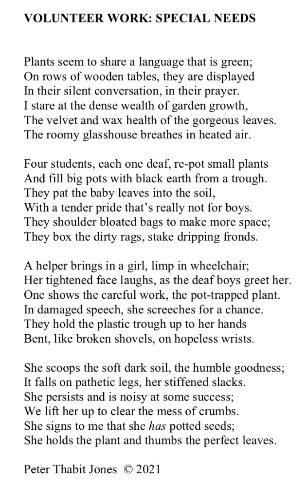 Volunteer Work by Peter Thabit Jones