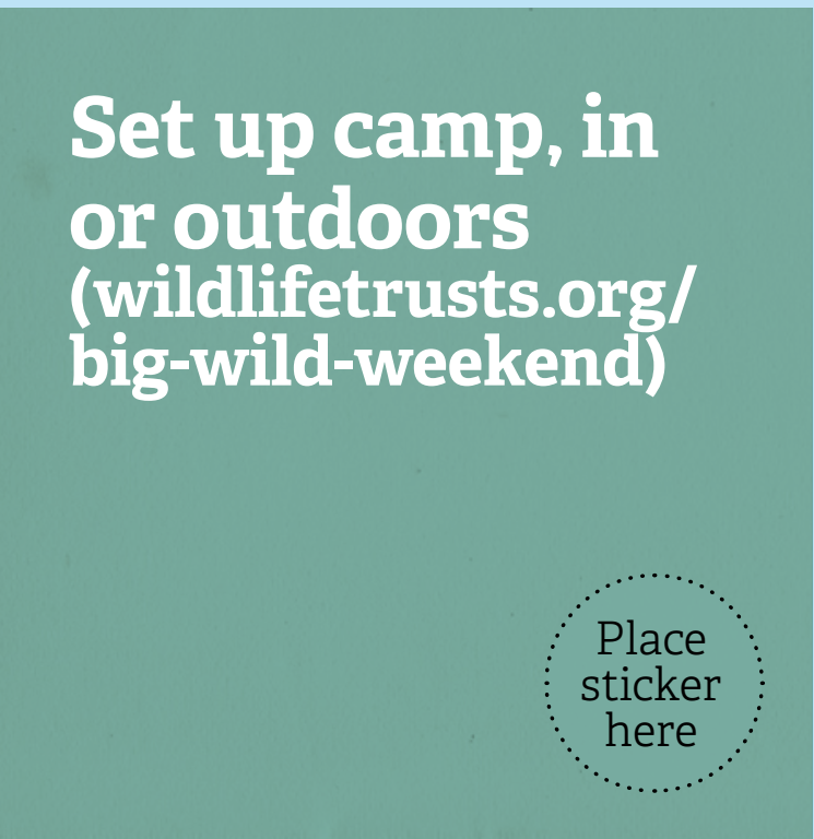 30Days Wild set up camp