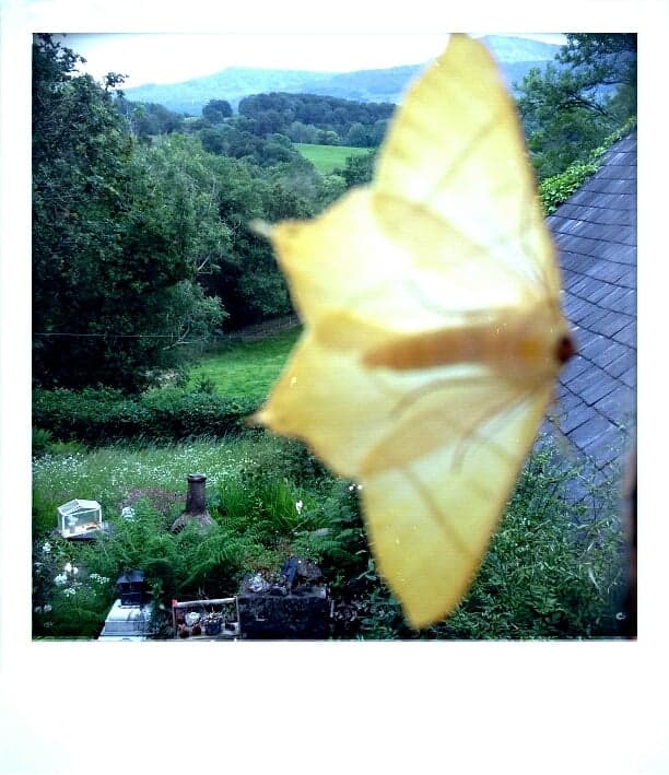 64913344_2258318620954480_2057297422207418368_n