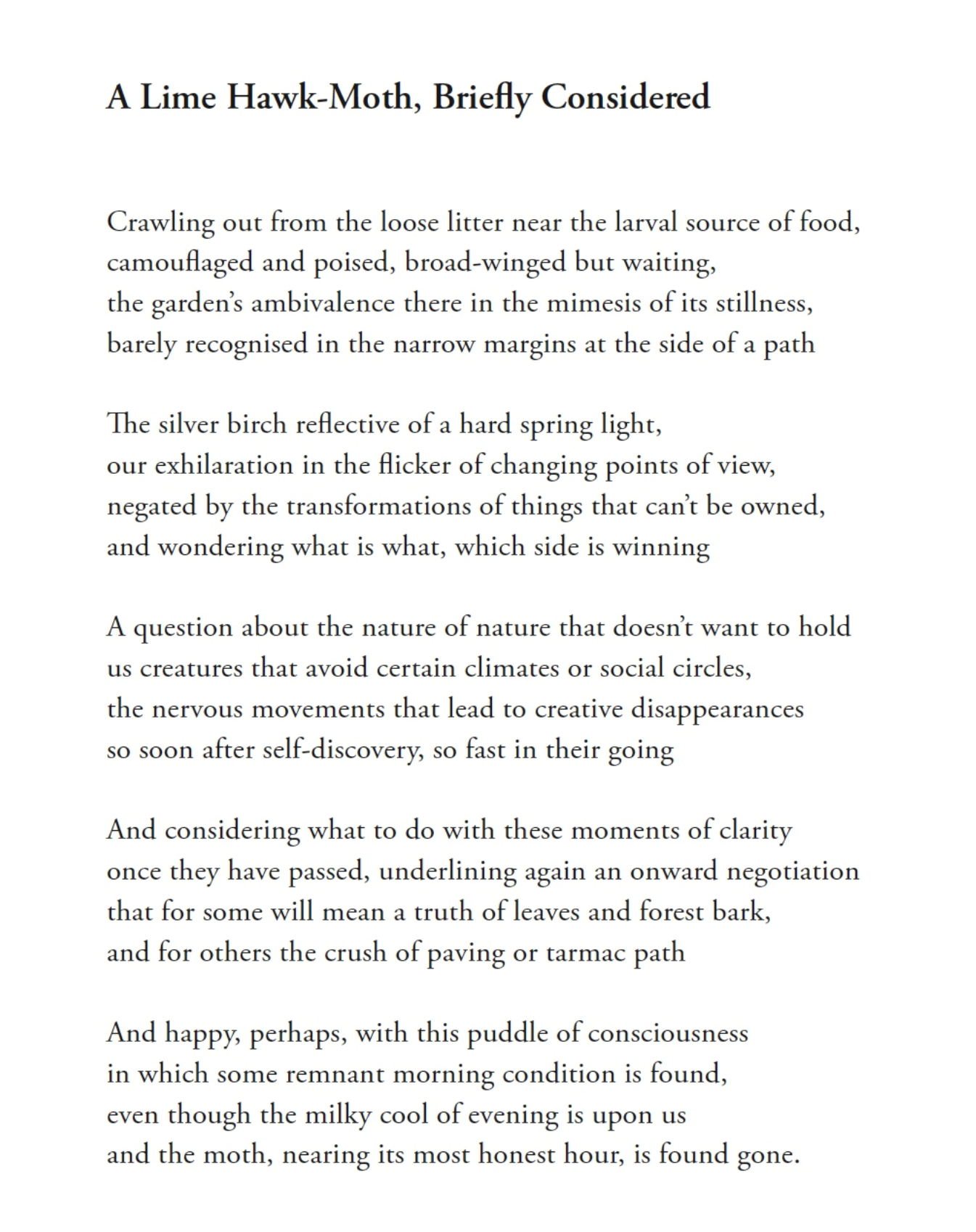 A Lime Hawk Moth M W