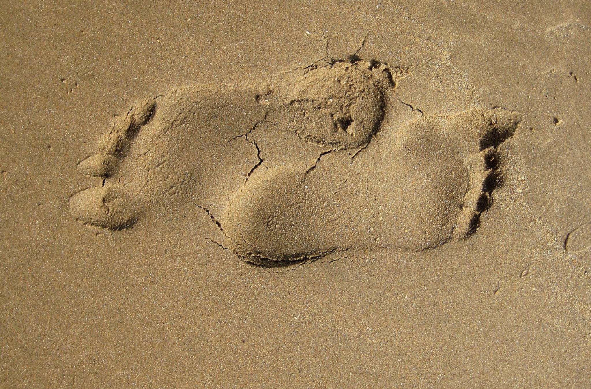 barefoot sand by Jim the Poet
