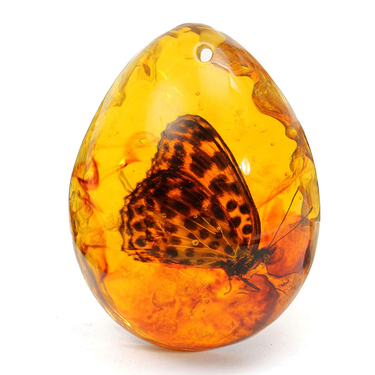 butterfly in amber