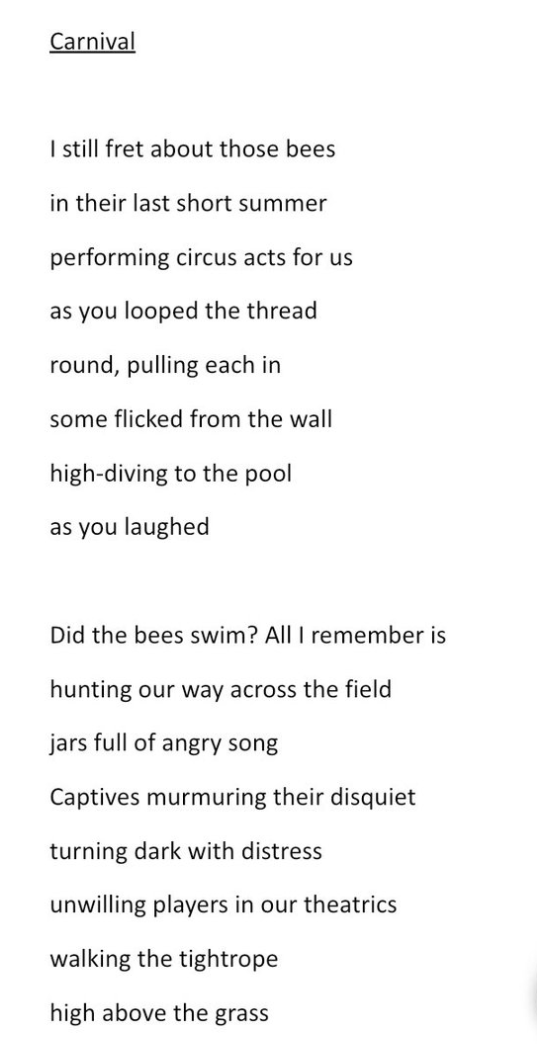 Carnival by Lynn Valentine