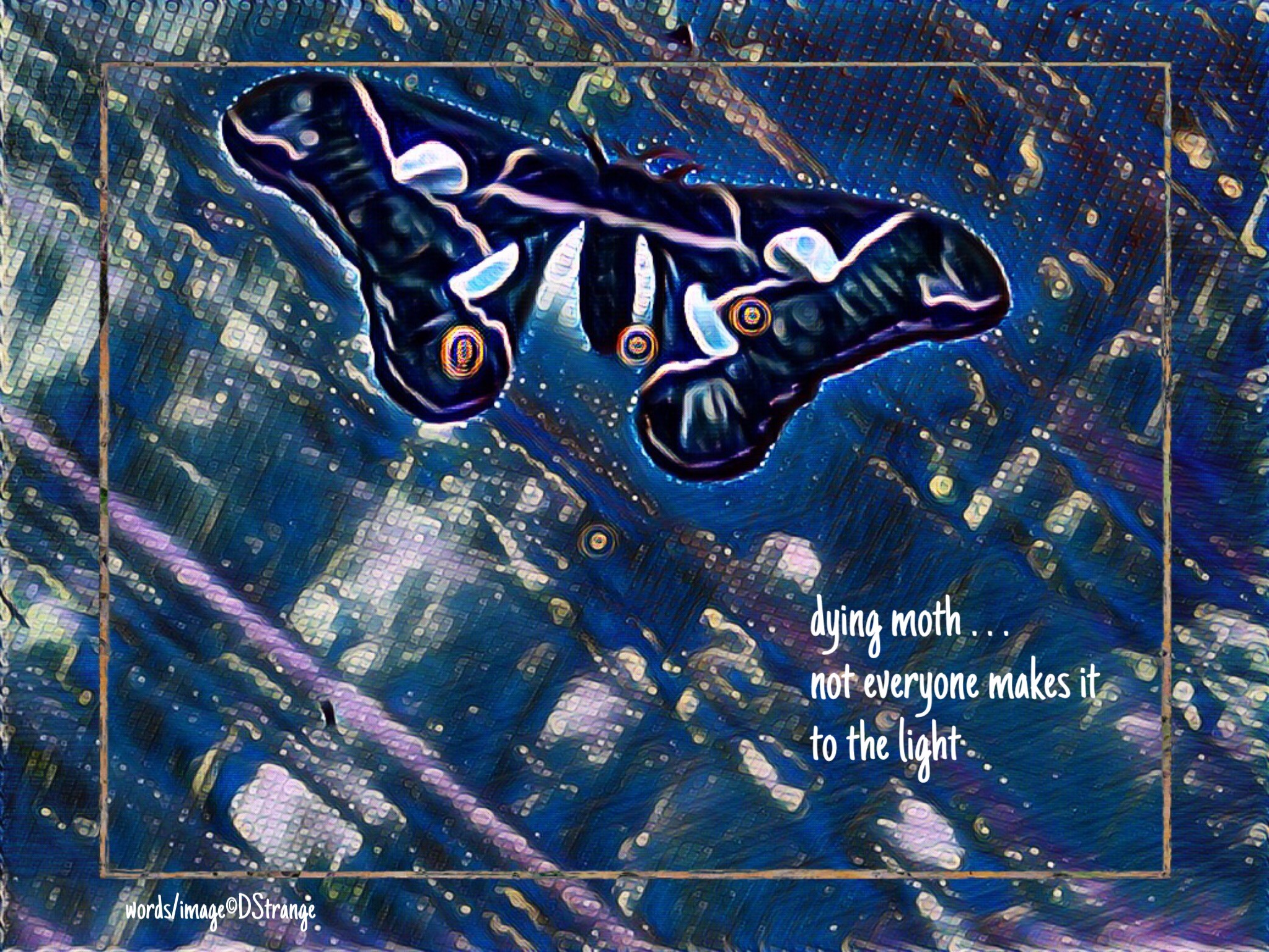 Debbie Strange Dying Moth