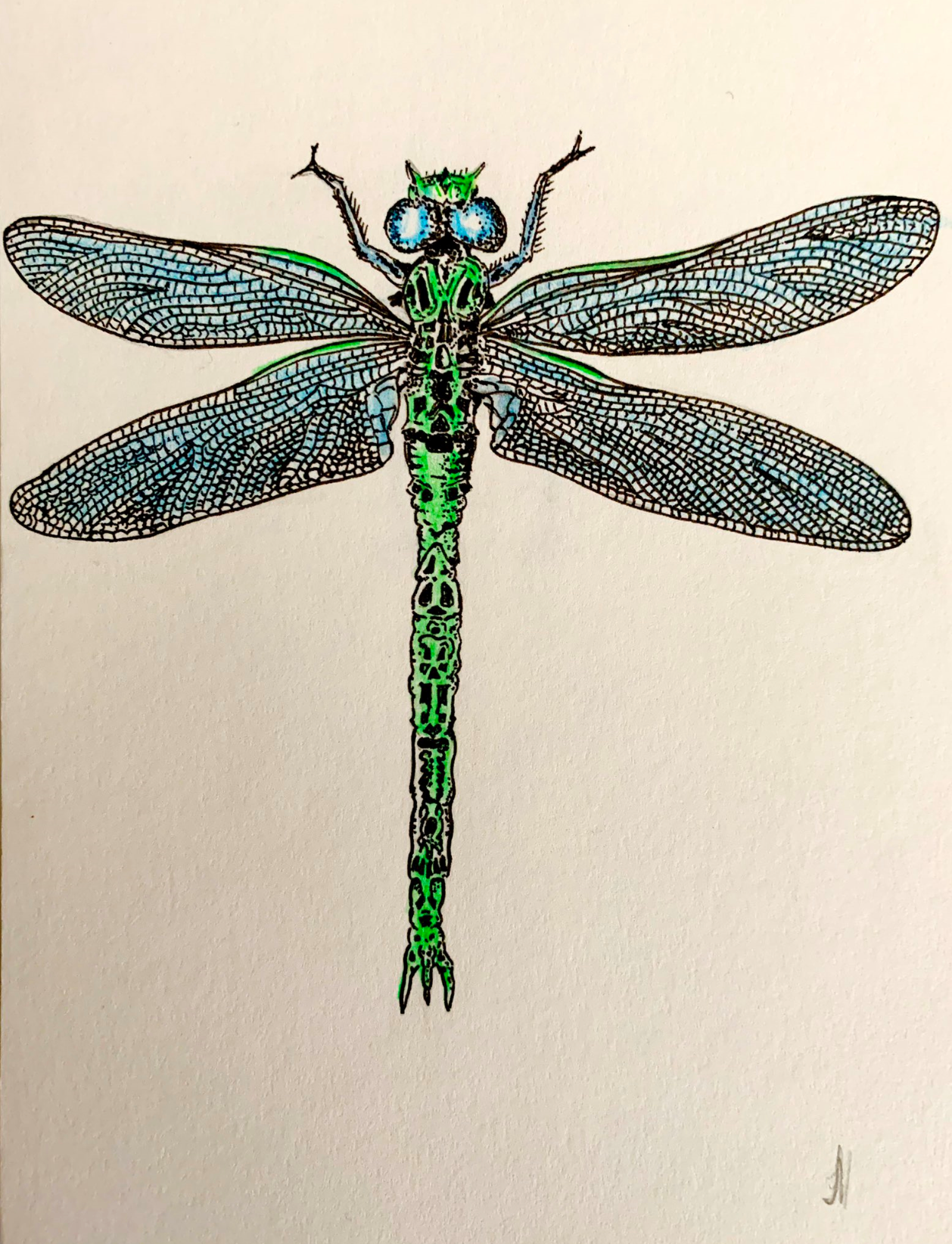 Dragonfly by John Hawkhead