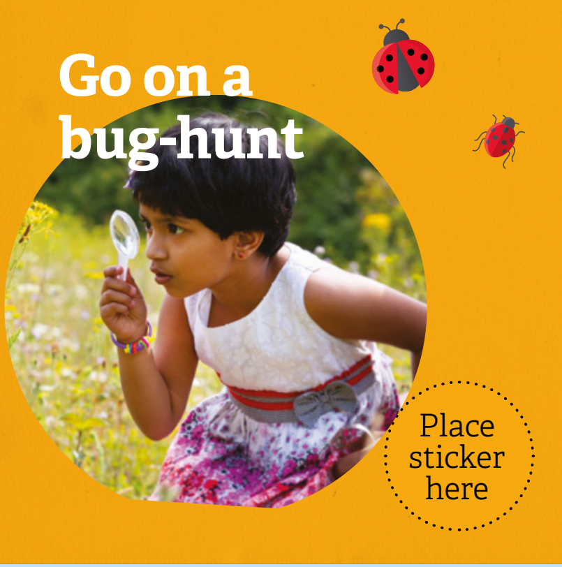 Go on a bughunt 30 Days Wild