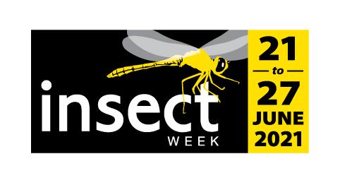 insect week