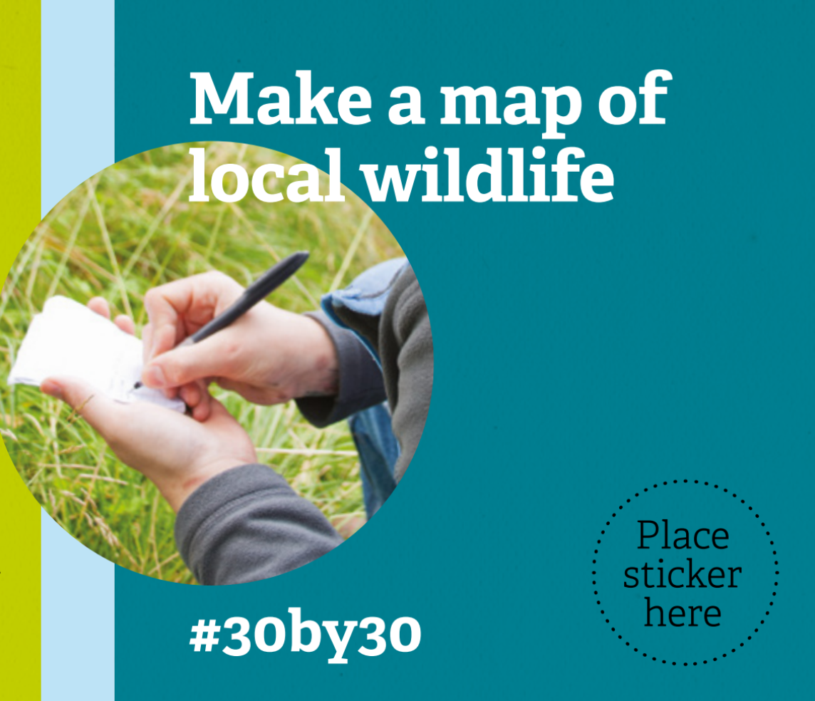 Make A Map Of Local Wildlife 30 Days Wild