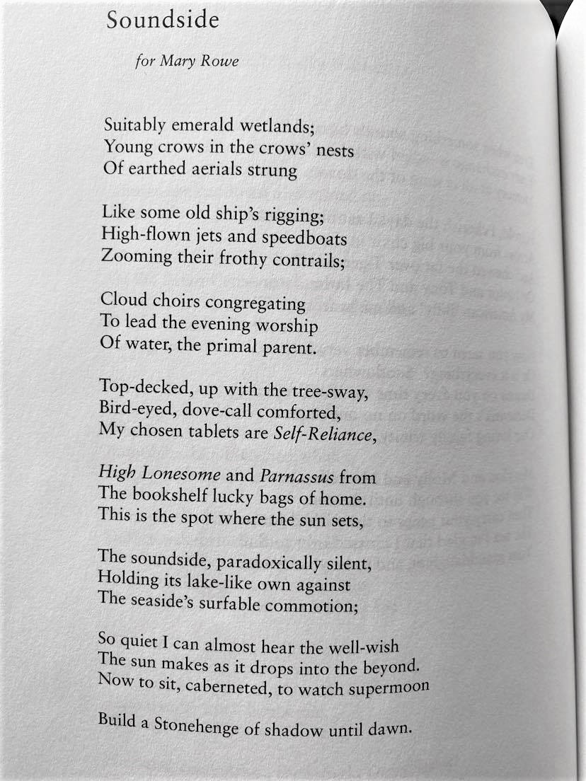 Soundside by Mary Rowe