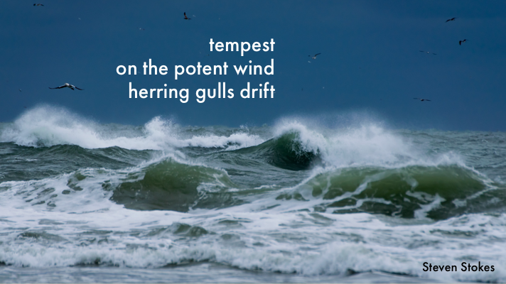 haiku 1 by steven stokes
