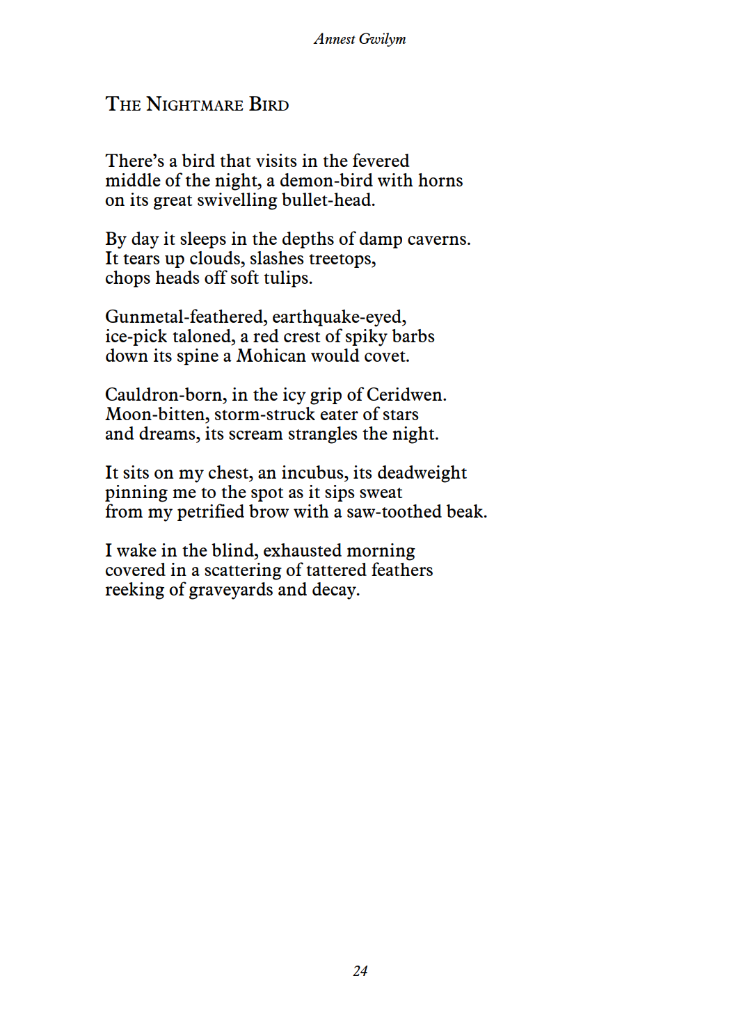 Nightmare Bird by Annest