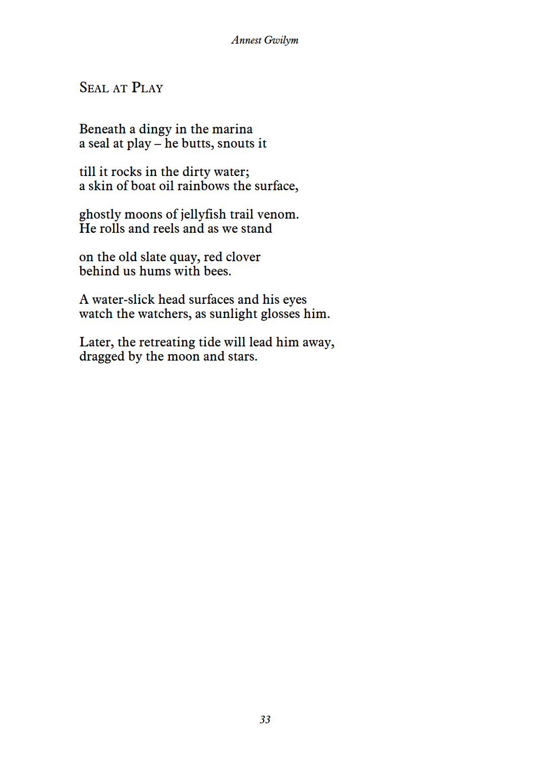 Seal At Play by Annest Gwilym