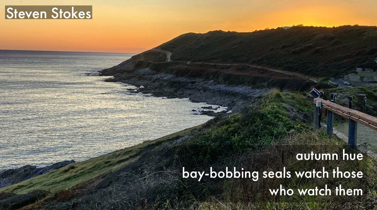 Steven Stokes haiku 2