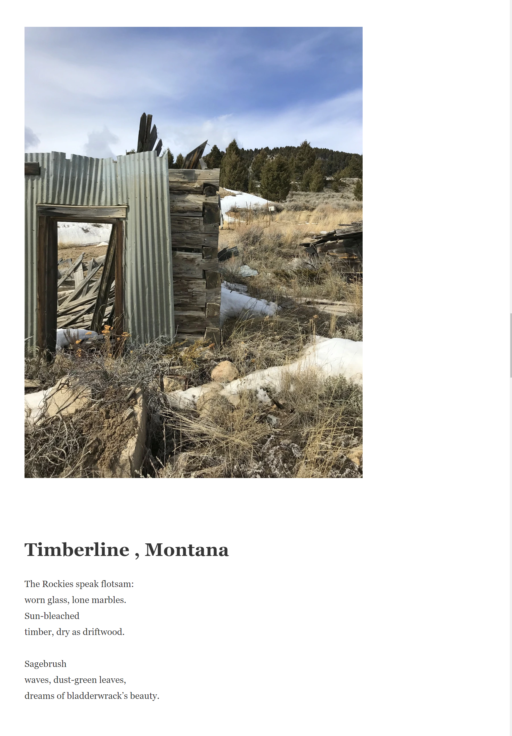 Timberline montana by ms evans