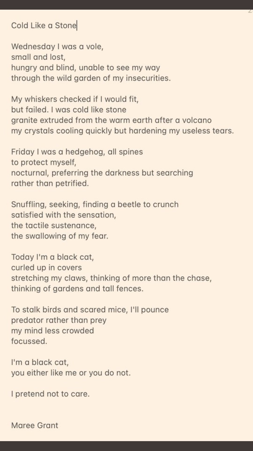 cold like a stone black cat