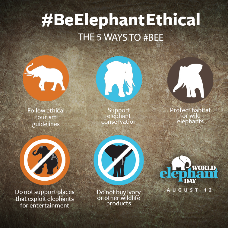Elephant Ethical poster