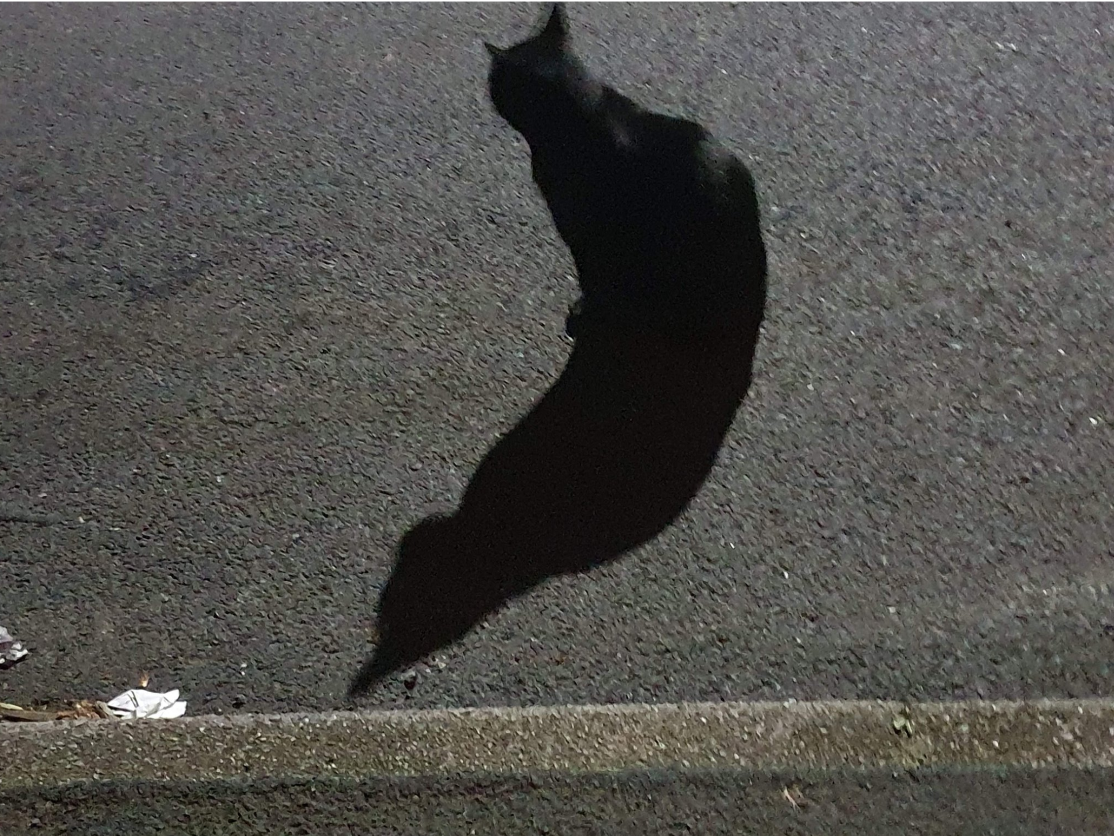 jet by spangle mcqueen