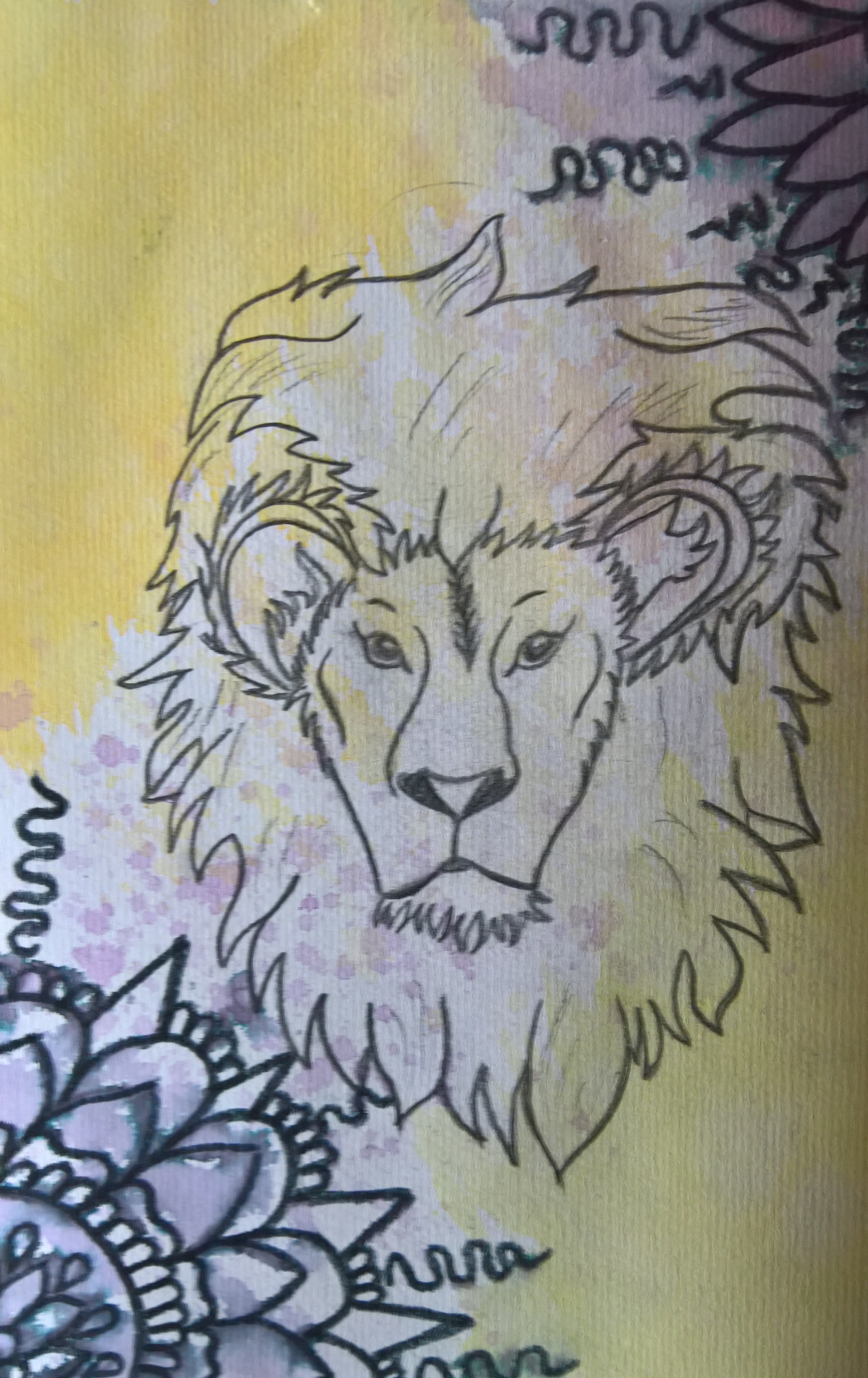 Lion 2