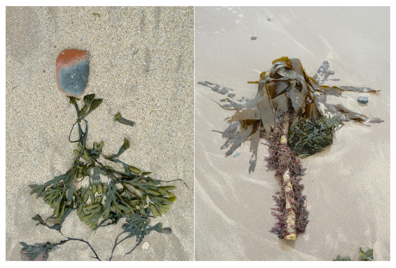 Lost Dolls of the winter Beach Mary Frances