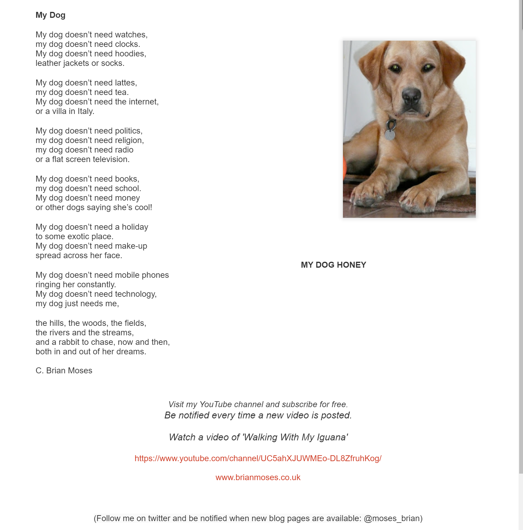 my dog by brian moses