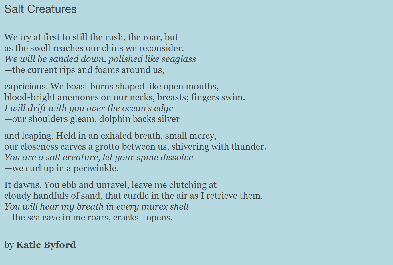 Salt creatures by Katie Byford