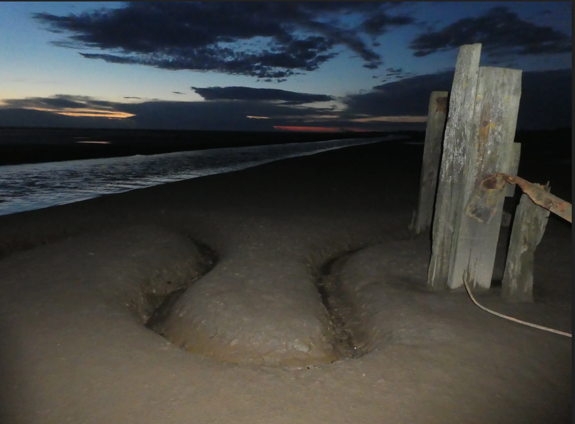 shoreline by Geoff Holmes