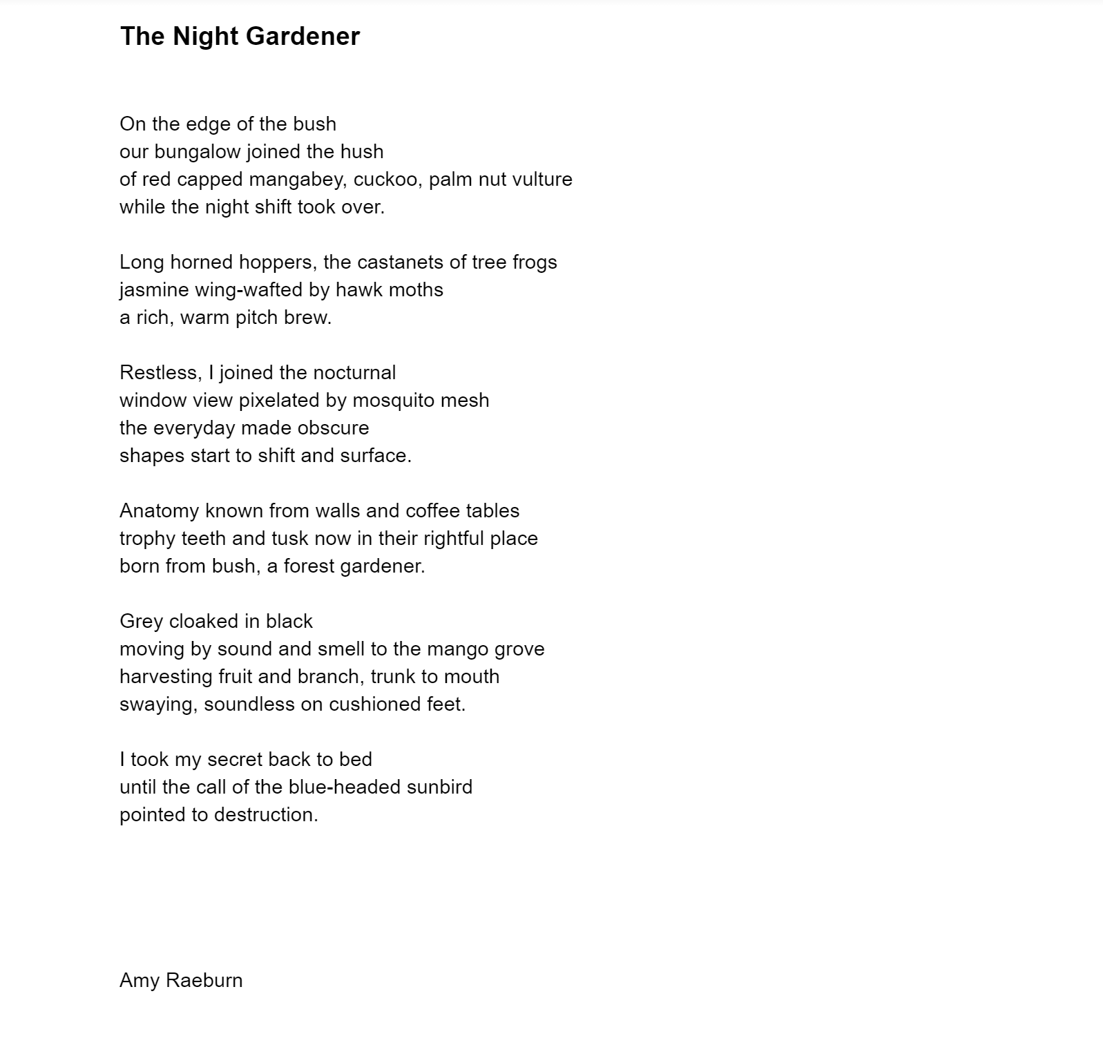 The Night Gardener by Amy