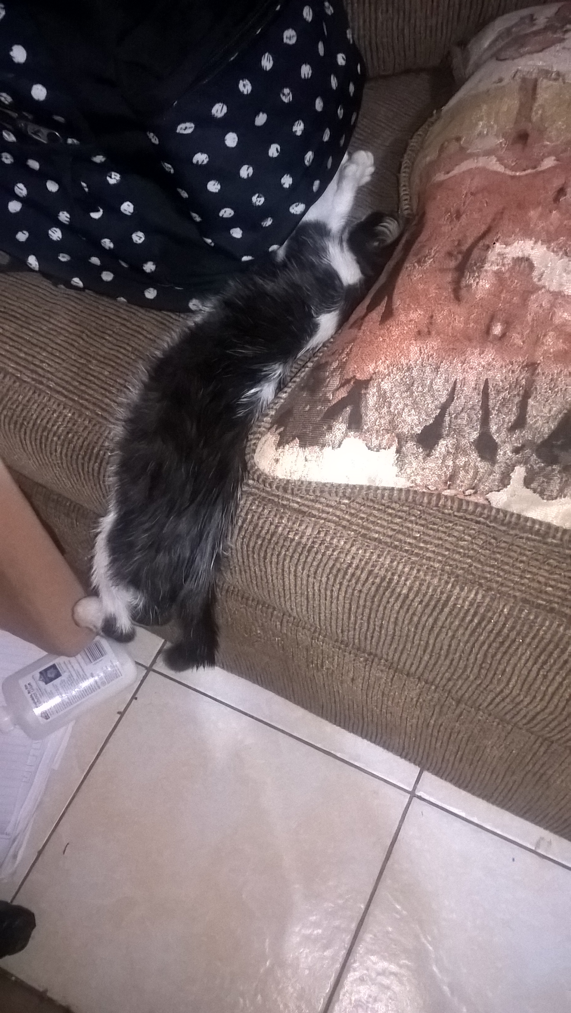 WP_20181111_23_13_06_Pro_LI