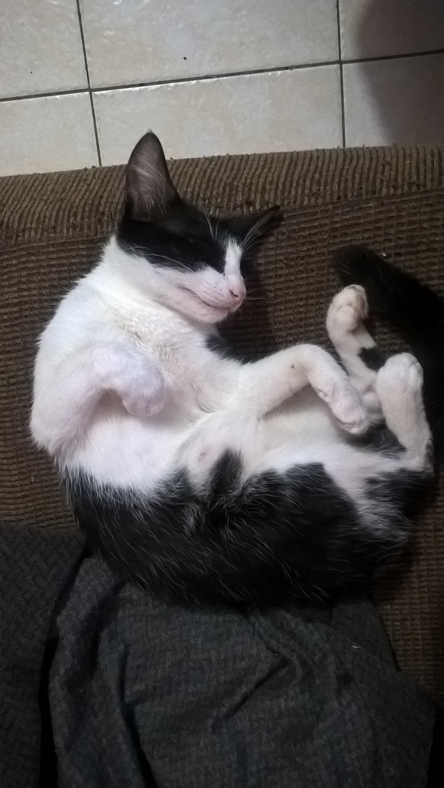 WP_20190519_05_53_33_Pro_LI