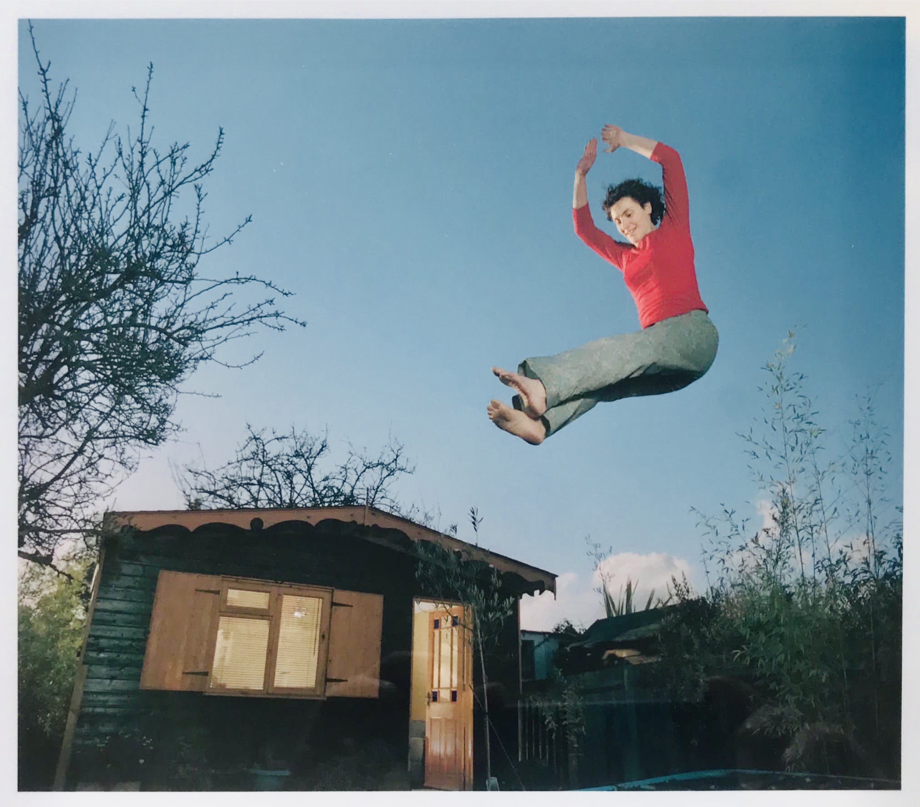 cheryl moskowitz shed