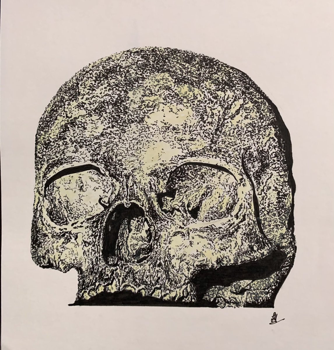 john hawkhead dust ti dust