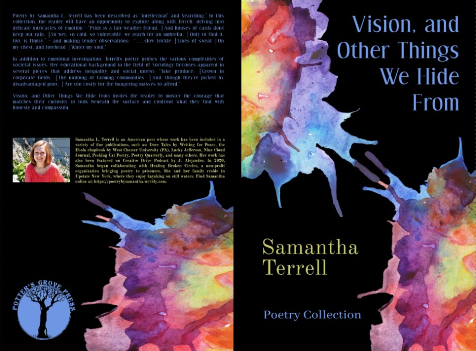 vision, samantha terrell cover