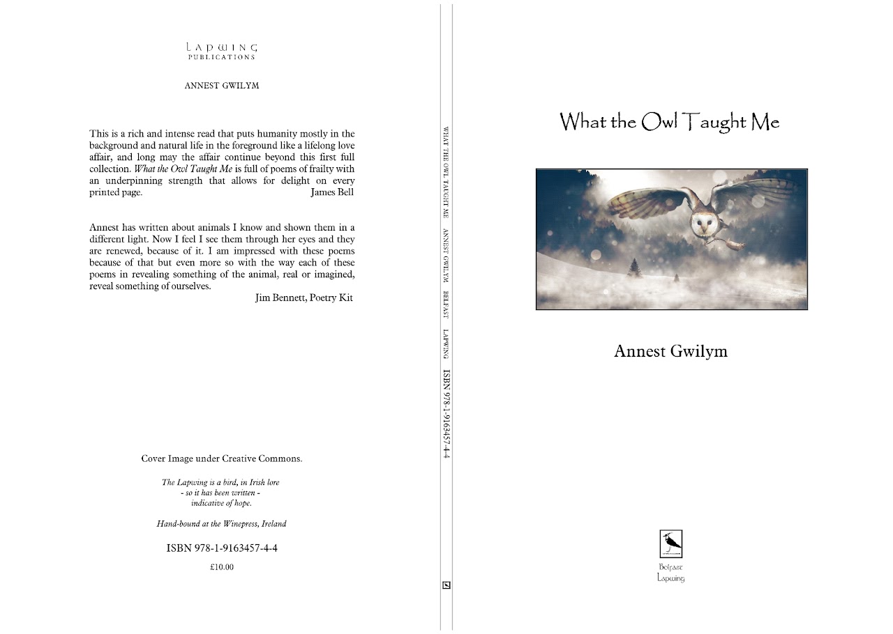 Annest Gwilym 'Owl...' what the owl taught me