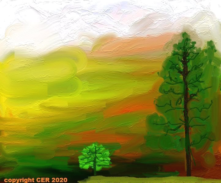 tree in snow by Anjum wasim dar