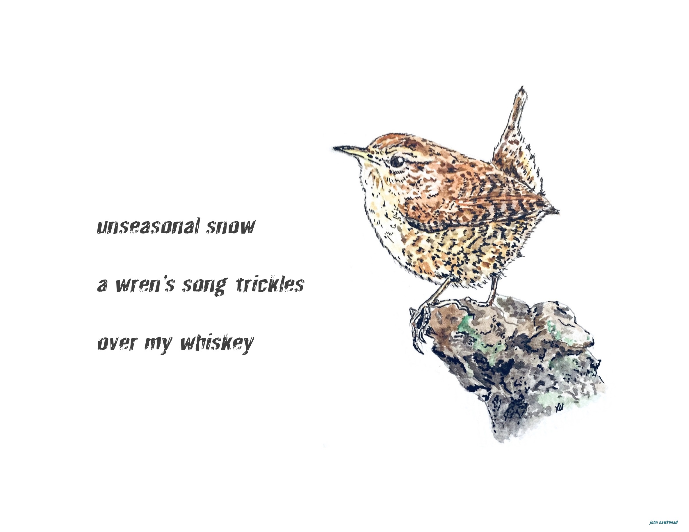 2018 JRcontest_wren-song-Traditional