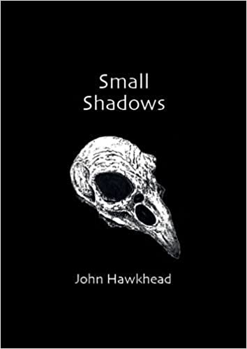 front cover small shadows by John Hawkhead