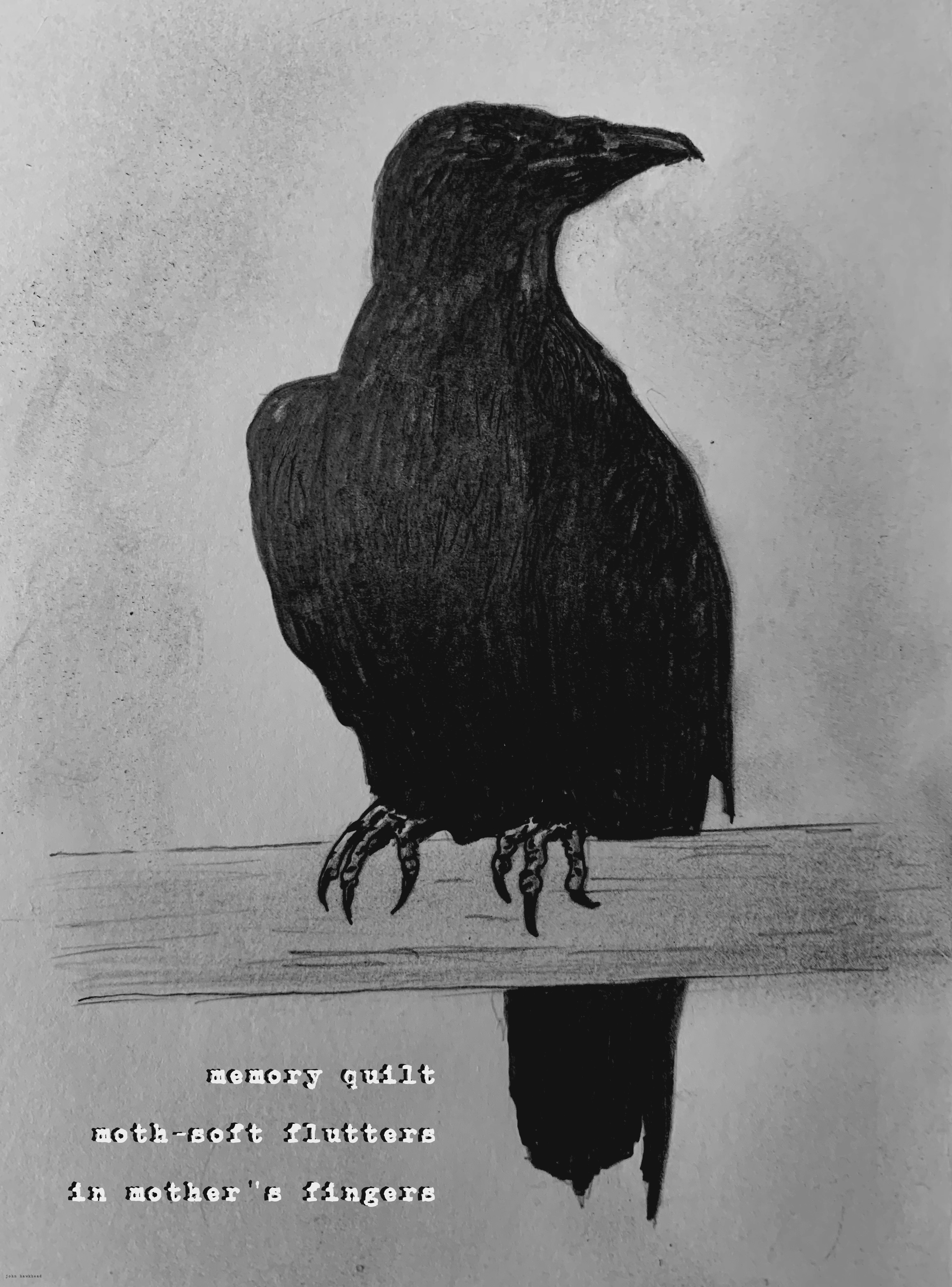 memory-raven-cho-17.3