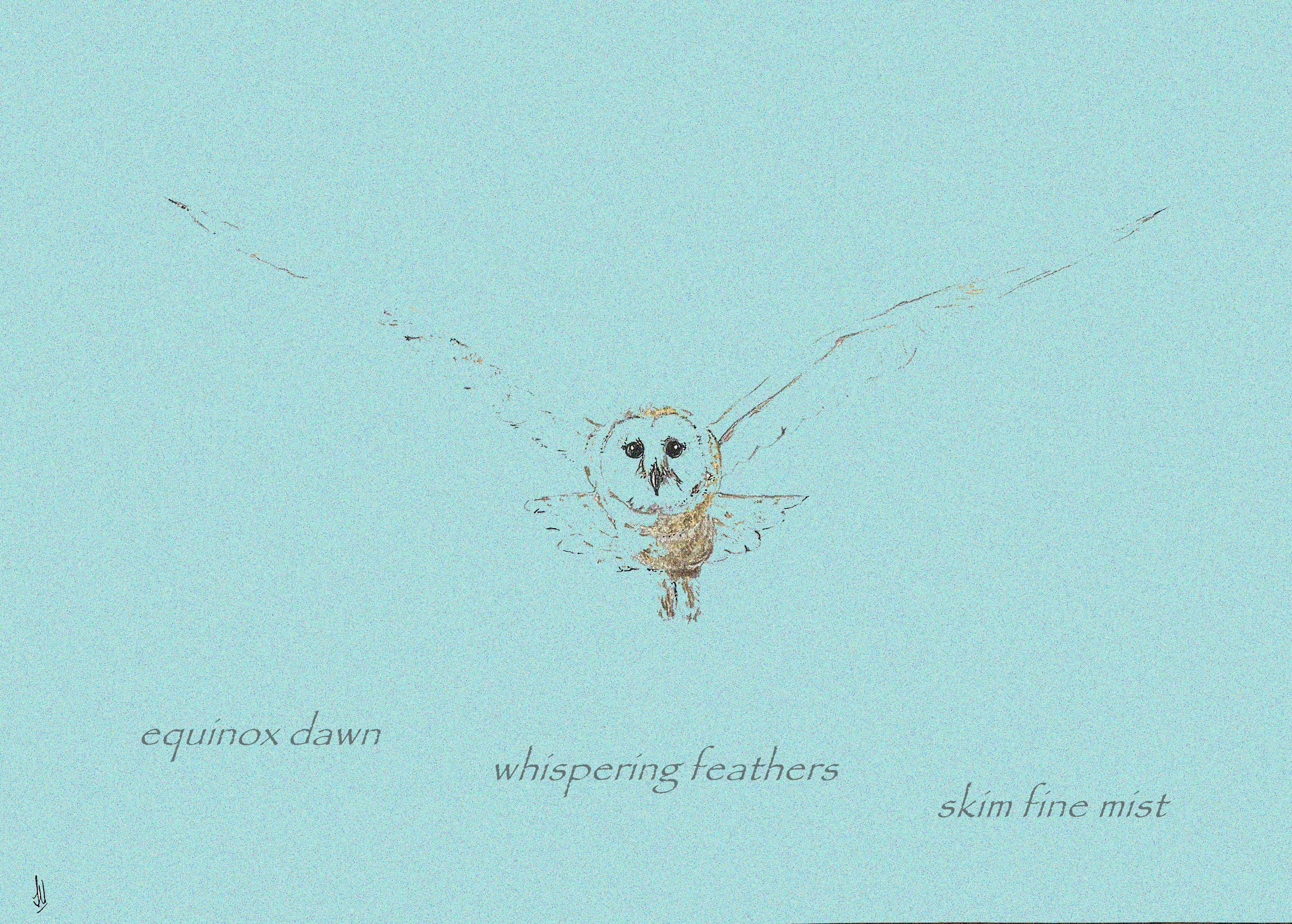 owl in mist-hawkhead-waleshaikujournal