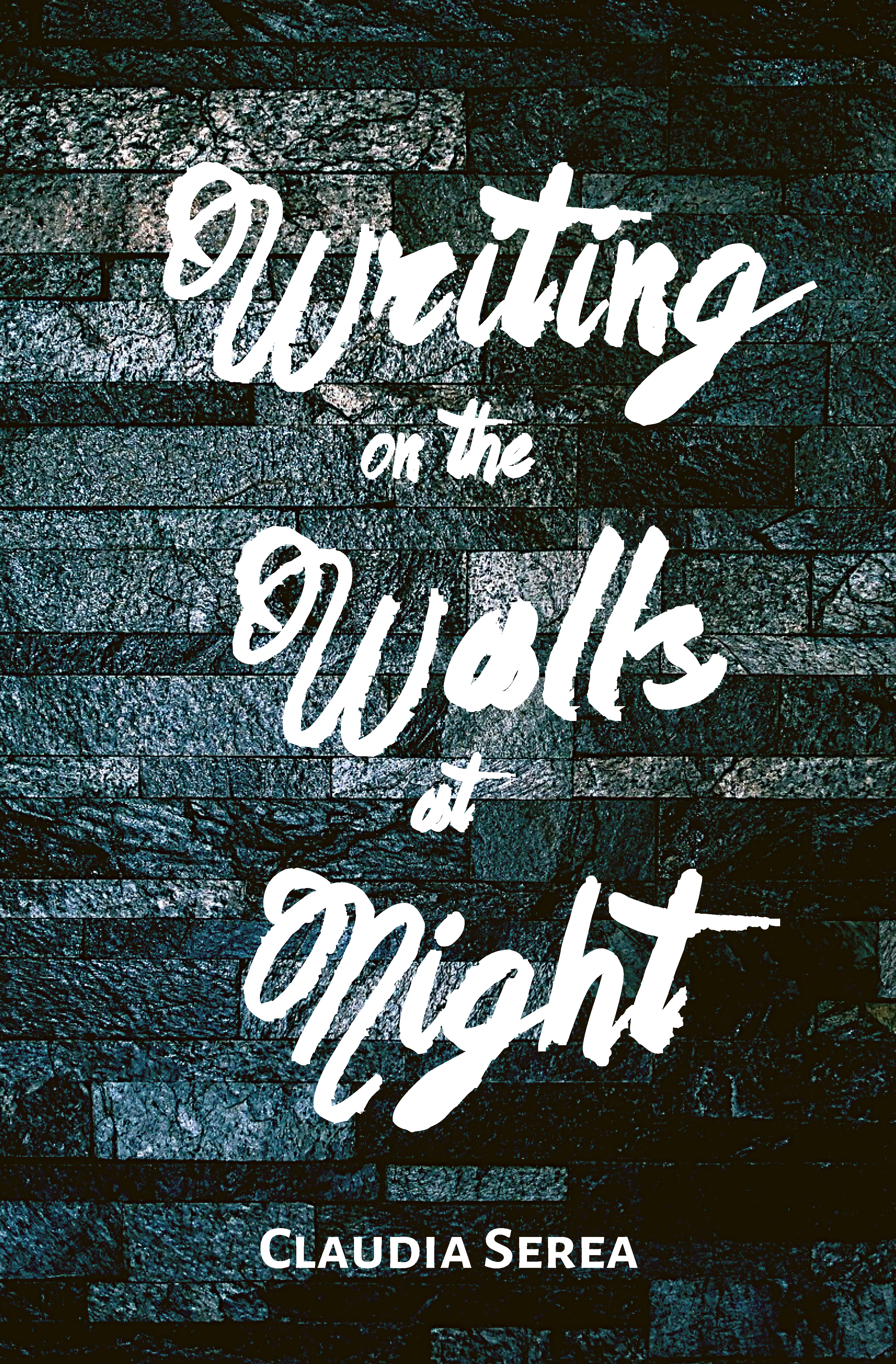 Writing On The Walls At Night by Claudia Serea front cover
