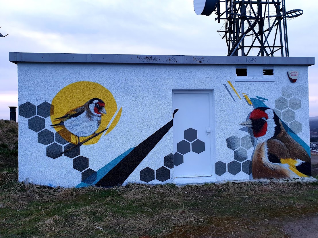 GK11 Dundee, Graffiti