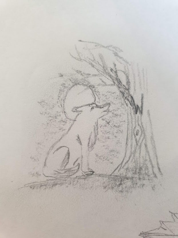 GK25 Pencil sketch - wolf and witness tree
