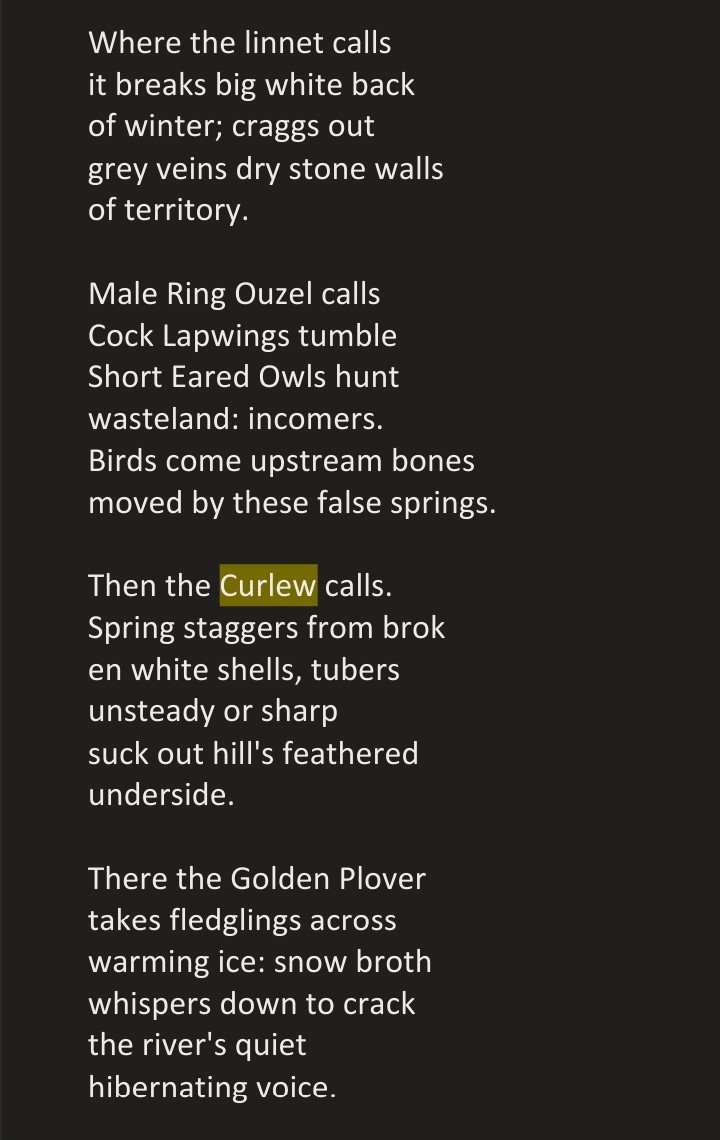 our home by paul brookes