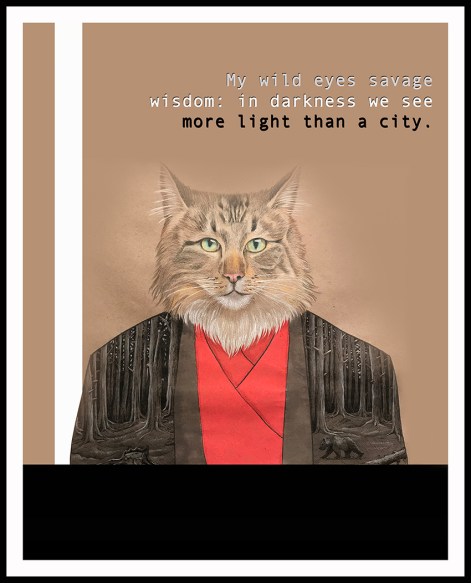 Mywildeyes (2021_10_03 19_16_13 UTC)(1)