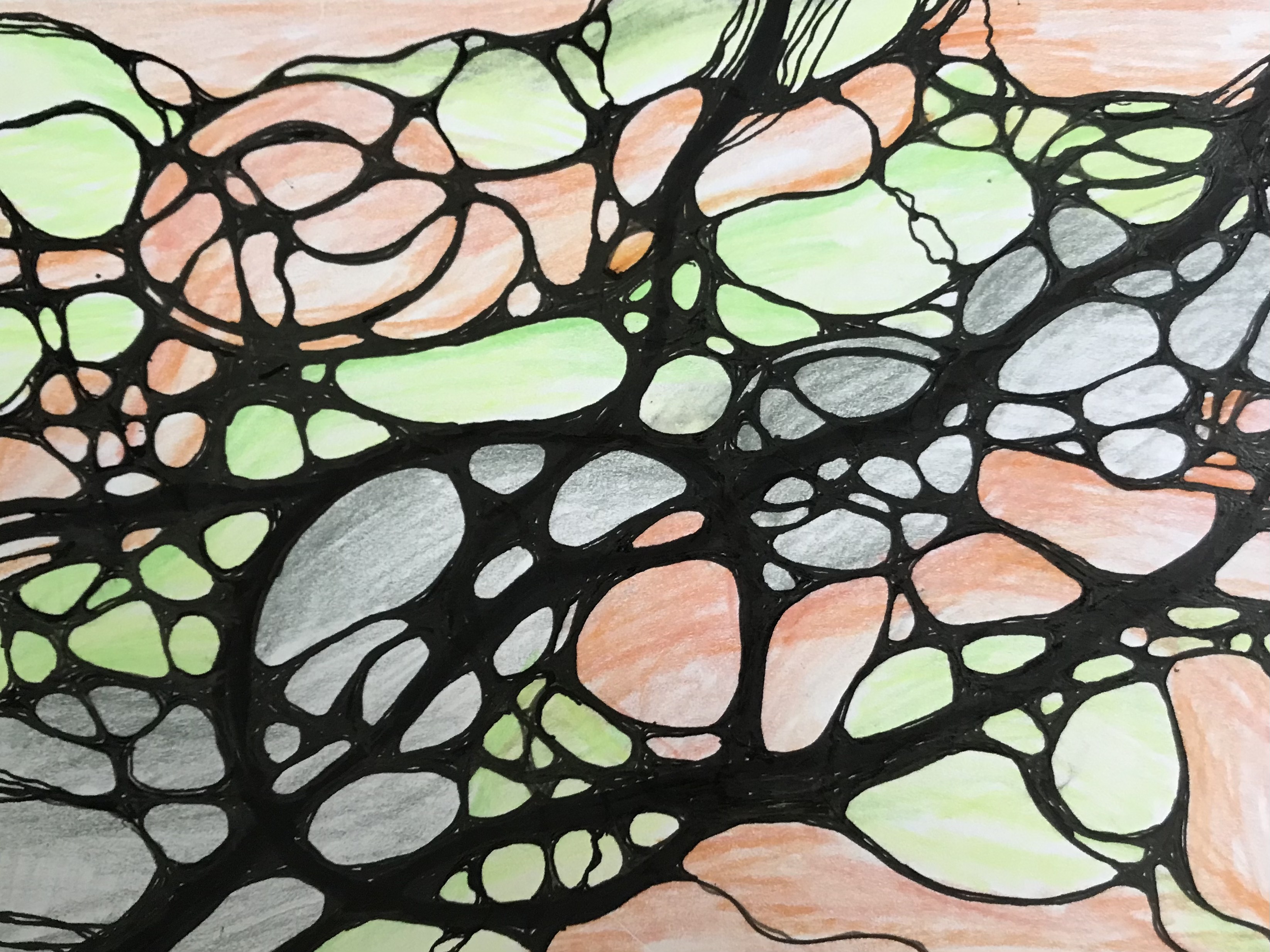 neurographia by Barbara Leonhard