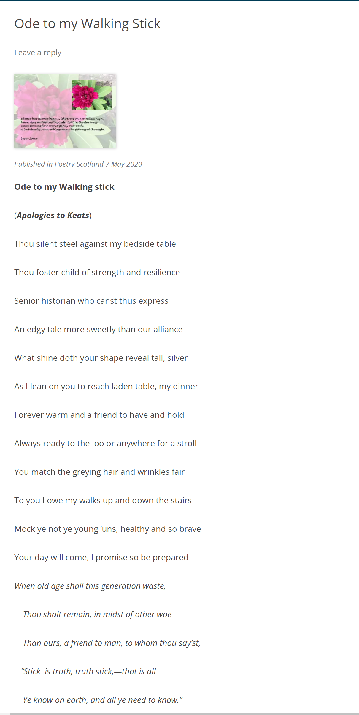ode to my walking stick by leela soma