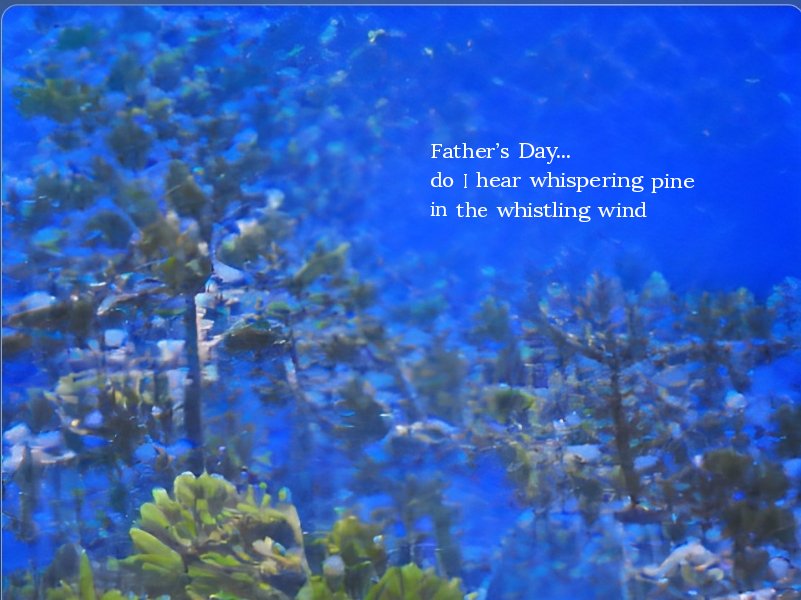 Fathers Day by Christina Chin