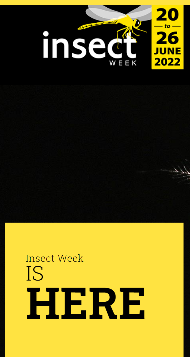 insect week 2022 poster