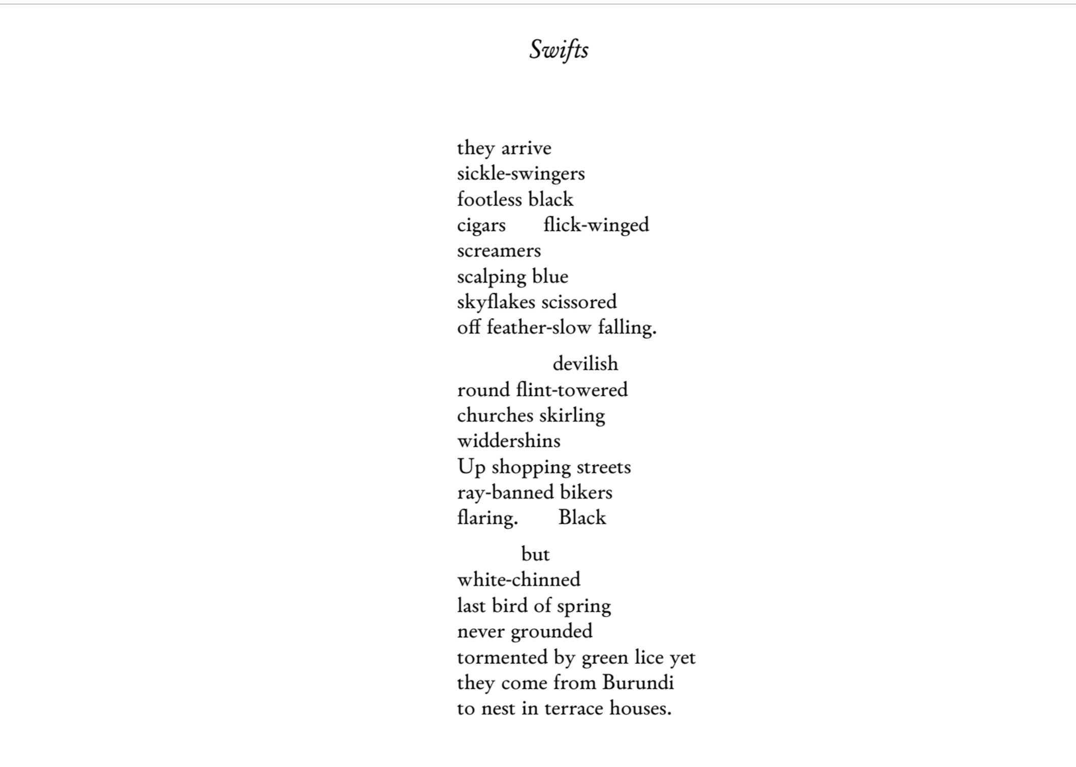 Swifts by Dave Garbutt