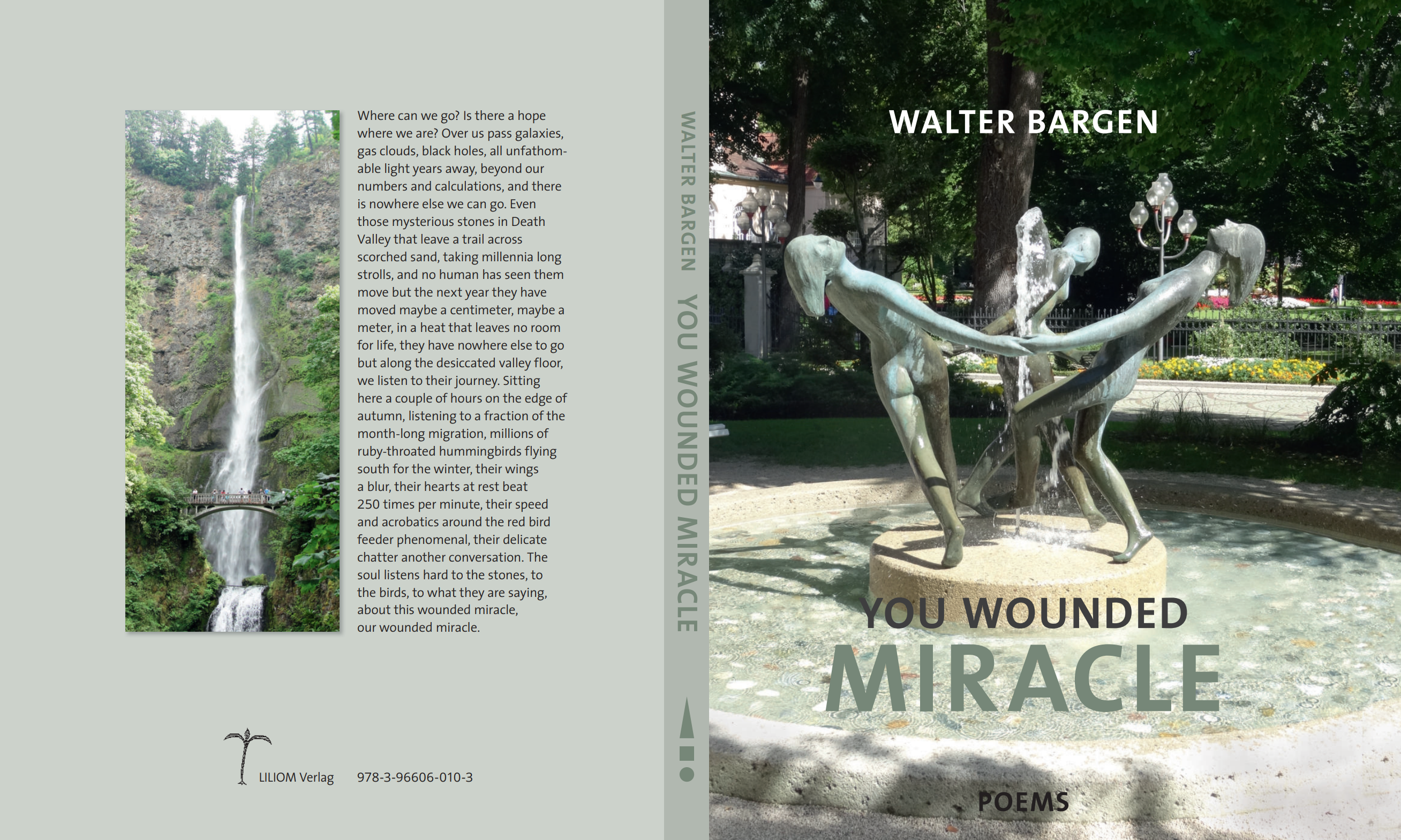 you wounded miracle walter bargen cover