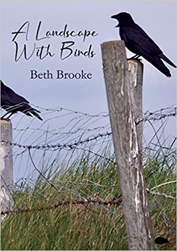 A Landscape With Birds by Beth Brooke